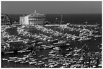 Harbor and casino from above, Avalon Bay, Santa Catalina Island. California, USA (black and white)