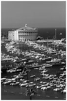 Catalina Casino and harbor, Avalon Bay, Santa Catalina Island. California, USA ( black and white)