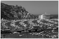Pictures of Catalina Island