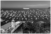Avalon harbor from above, Avalon Bay, Catalina Island. California, USA ( black and white)