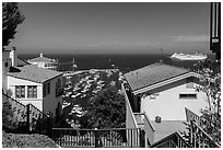 Stairs between residences overlooking harbor, Avalon, Catalina. California, USA (black and white)