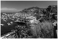 Harbor and waterfront, Avalon Bay, Catalina Island. California, USA ( black and white)