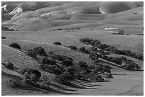 Gentle hills and trees near King City. California, USA ( black and white)