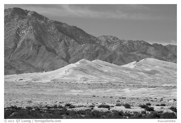 Kelso Sand Dunes at the base of Granite Mountains. Mojave National Preserve, California, USA (black and white)