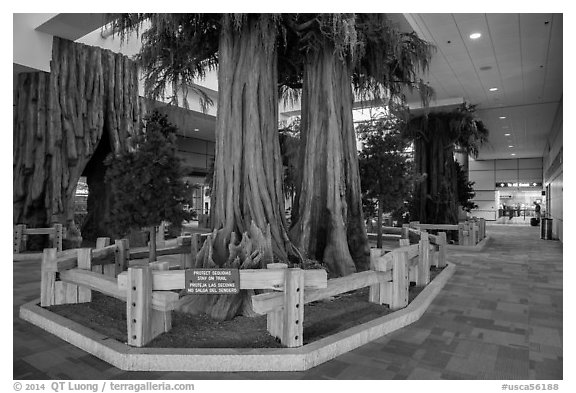 National park exhibit in concourse, Fresno Yosemite Airport. California, USA (black and white)