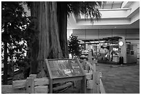 Interpretive sign, sequoias, and cafe, Fresno Yosemite Airport. California, USA ( black and white)