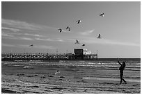 Woman and seagulls in front of Newport Pier. Newport Beach, Orange County, California, USA ( black and white)