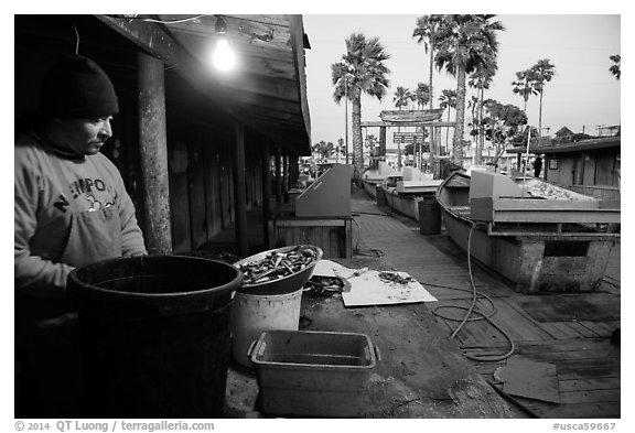 Fisherman, beachside fishing cooperative. Newport Beach, Orange County, California, USA (black and white)