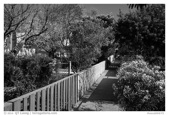 Pedestrial residential alley in springtime. Venice, Los Angeles, California, USA (black and white)