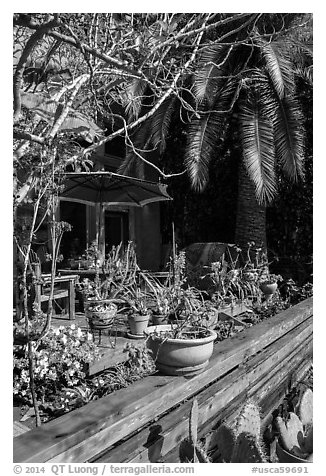 Front deck with potted plants. Venice, Los Angeles, California, USA (black and white)