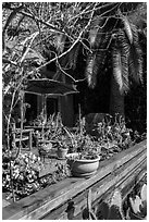 Front deck with potted plants. Venice, Los Angeles, California, USA ( black and white)