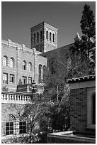 University of California at Los Angeles, Westwood. Los Angeles, California, USA ( black and white)