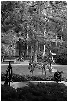 Sculpture Garden, University of California at Los Angeles, Westwood. Los Angeles, California, USA ( black and white)