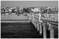 View from pier, Manhattan Beach. Los Angeles, California, USA ( black and white)
