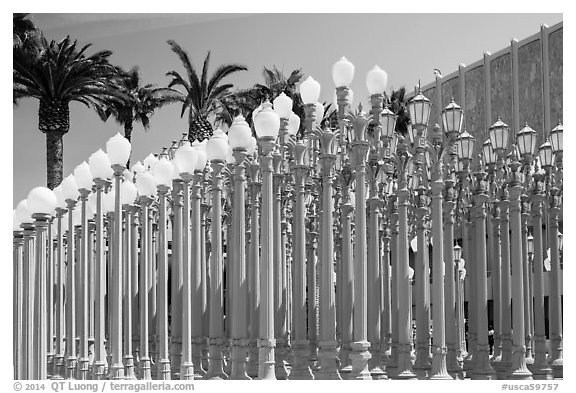 Urban Light by Chris Burden in front of LACMA. Los Angeles, California, USA (black and white)