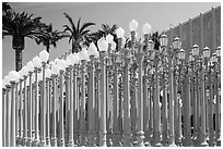 Urban Light by Chris Burden in front of LACMA. Los Angeles, California, USA ( black and white)