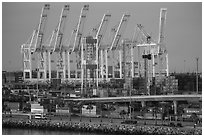 Containers and cranes in Long Beach port. Long Beach, Los Angeles, California, USA ( black and white)