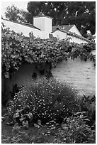 Courtyard corner, El Presidio. Santa Barbara, California, USA ( black and white)