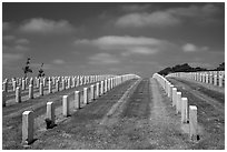 Headstones, Fort Rosecrans National Cemetary. San Diego, California, USA ( black and white)