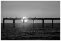 Sun setting behind Ocean Beach Pier. San Diego, California, USA ( black and white)