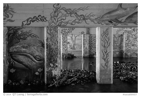 PCH underpass decorated with mural of ocean life, Leo Carrillo State Park. Los Angeles, California, USA (black and white)