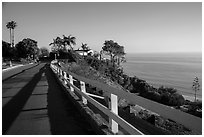 Residential street overlooking Pacific Ocean, Malibu. Los Angeles, California, USA ( black and white)