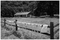 Laundry drying on fence, Fort Tejon state historic park. California, USA ( black and white)