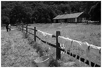 Laundry drying on fence, as elderly couple in period costume walks in distance, Fort Tejon. California, USA ( black and white)