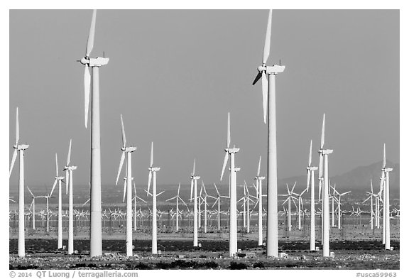 Wind farm, San Gorgonio Pass. California, USA (black and white)