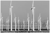 Wind farm, San Gorgonio Pass. California, USA ( black and white)