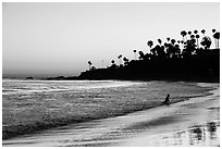 Beach at sunset with silhouettes of palm trees and beachgoer. Laguna Beach, Orange County, California, USA ( black and white)