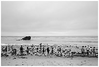 Vistors explore tidepools, Leo Carillo State Beach, Santa Monica Mountains NRA. Los Angeles, California, USA ( black and white)
