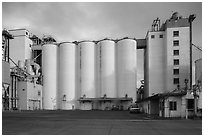 Grain silo. California, USA ( black and white)