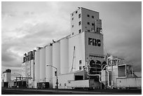 Grain elevator. California, USA ( black and white)