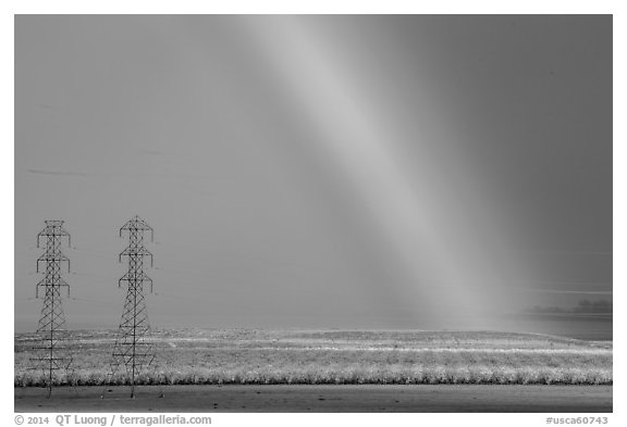 Rainbow, orchard in bloom, and power lines. California, USA (black and white)