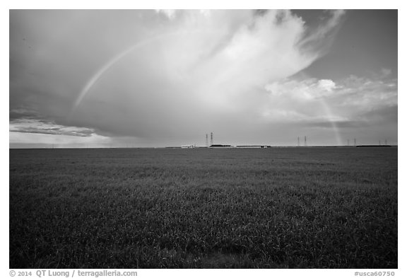 Pasture and rainbow in the spring. California, USA (black and white)