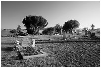 Cemetery. San Juan Bautista, California, USA ( black and white)