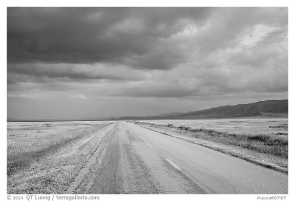 Road. Carrizo Plain National Monument, California, USA (black and white)