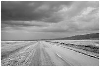 Road. Carrizo Plain National Monument, California, USA ( black and white)