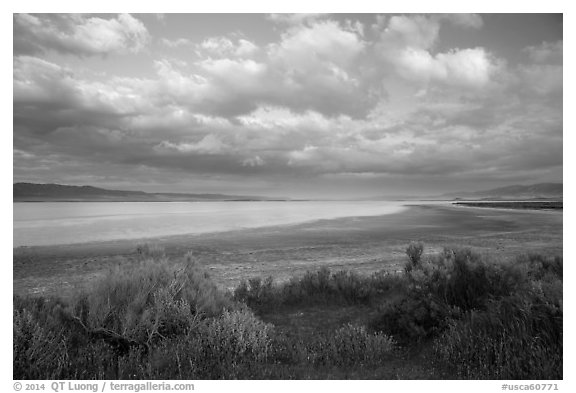 Soda Lake, late afternoon. Carrizo Plain National Monument, California, USA (black and white)
