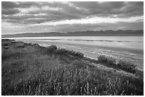 Soda Lake with reflections of Temblor Range. Carrizo Plain National Monument, California, USA ( black and white)