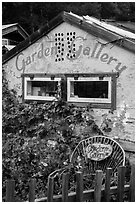 Garden gallery. Big Sur, California, USA ( black and white)