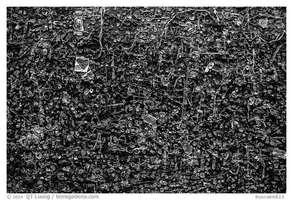 Detail of wall with accumulation of used bubble gum. California, USA (black and white)