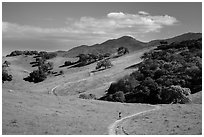 Trail winding on verdant hills, Pacheco State Park. California, USA ( black and white)