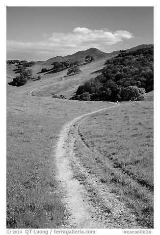 Trail and luch hills, Pacheco State Park. California, USA (black and white)