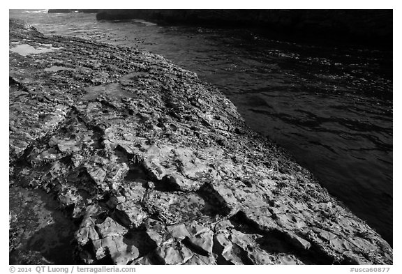 Rock slab and ocean channel, Montana de Oro State Park. Morro Bay, USA (black and white)