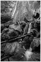 Limeliln falls, Limekiln State Park. Big Sur, California, USA ( black and white)