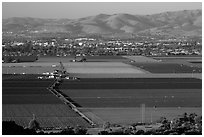 Agricultural lands in Salinas Valley. California, USA ( black and white)