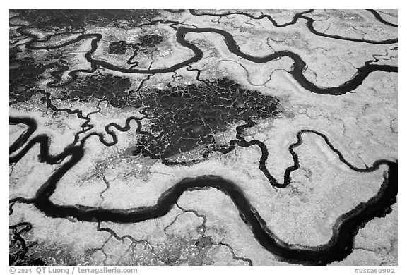 Aerial view of salt marsh. Palo Alto,  California, USA (black and white)