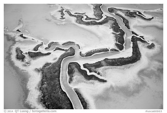 Aerial view of salt pond. Redwood City,  California, USA (black and white)